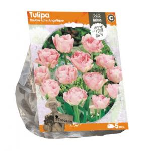 Baltus Tulipa Double Late Angelique tulpen bloembollen per 5 stuks